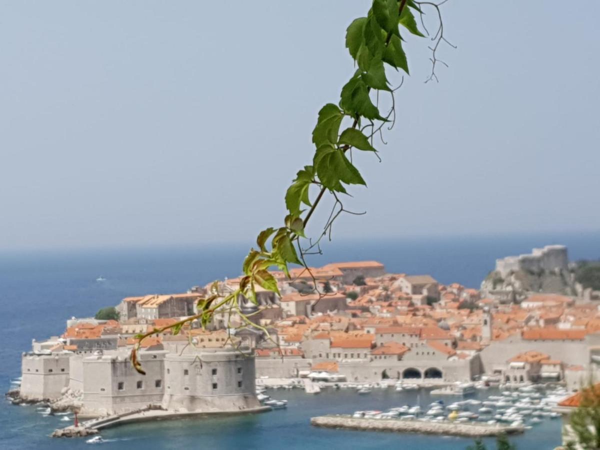 Studio Apartment Bupic- Close To Old City With Free Parking Dubrovnik Exterior photo